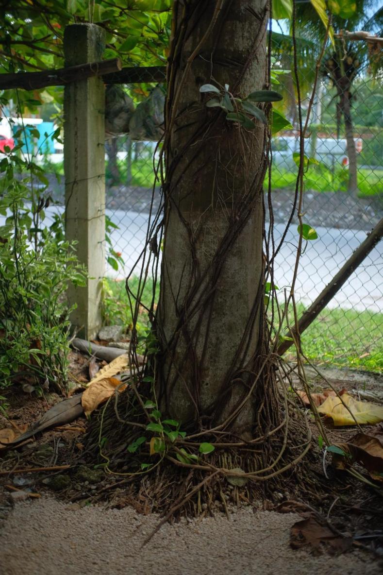 Near Lake Hostal บากาลาร์ ภายนอก รูปภาพ
